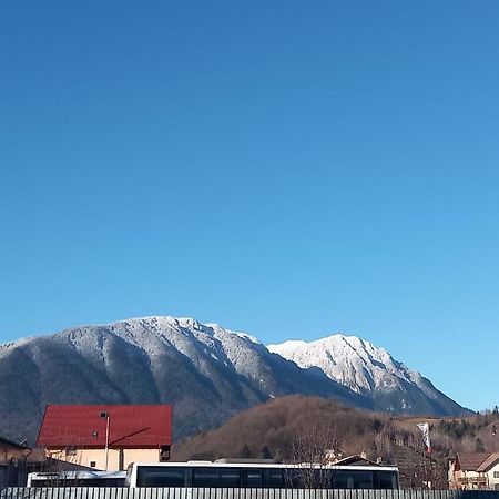 Piatra Craiului Residence Zărneşti Exteriör bild