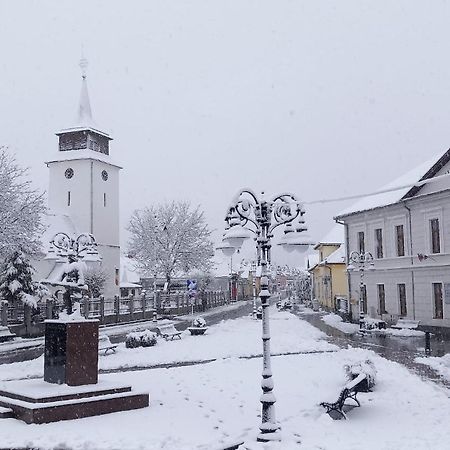 Piatra Craiului Residence Zărneşti Exteriör bild